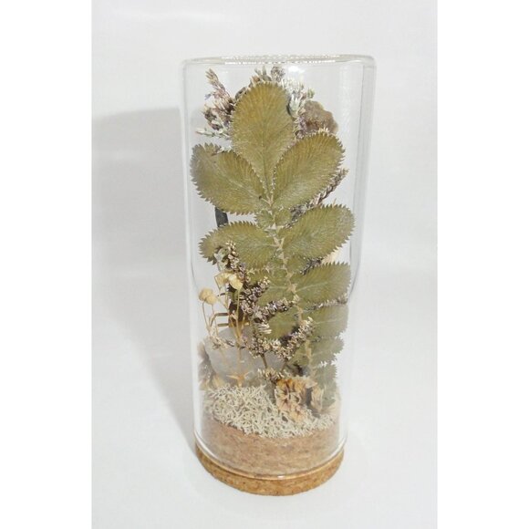 Scorpion Green Chafer Beetle Wasp Nest Bee & Crystal Oddity Jar taxidermy - Picture 15 of 16